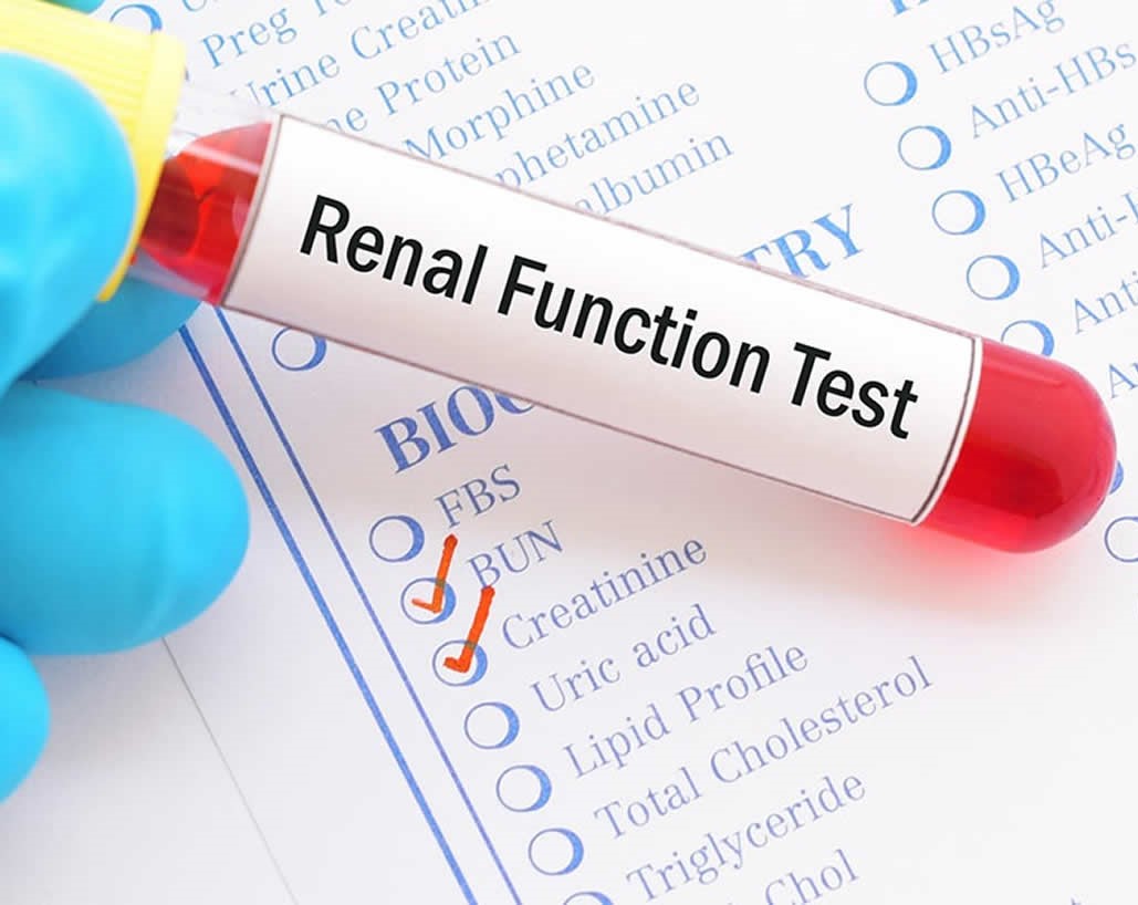 Renal Profile (RFT - Basic)